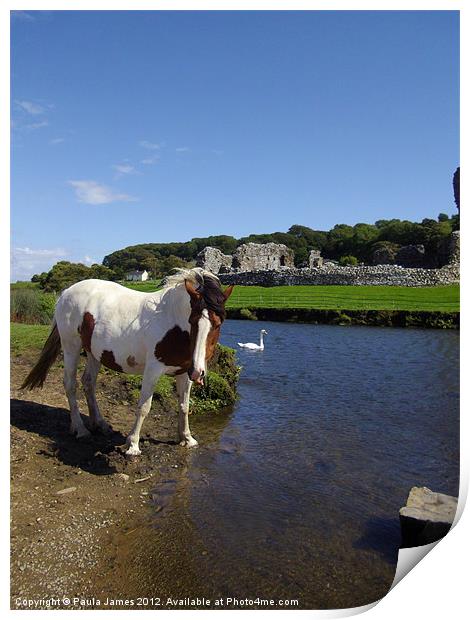 Ogmore River and Castle, Horse and Swan Print by Paula J James