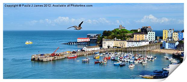 Giant Seagull flying over Tenby Harbour Print by Paula J James