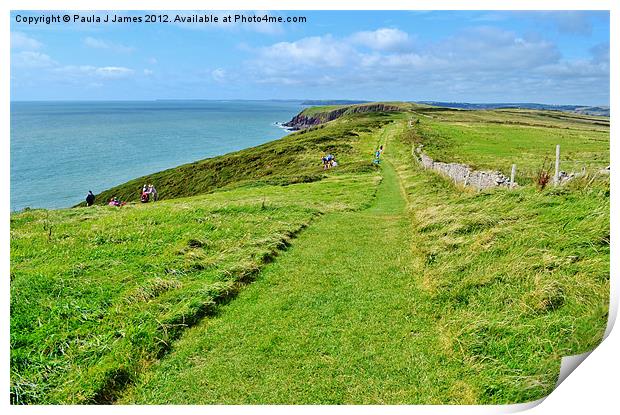 Caldey Island Coast Path Print by Paula J James