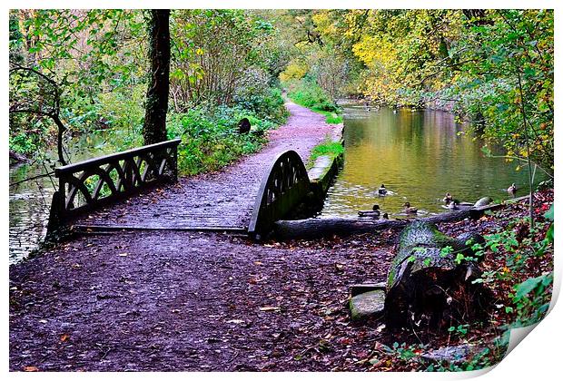 Glamorganshire Canal Print by Paula J James