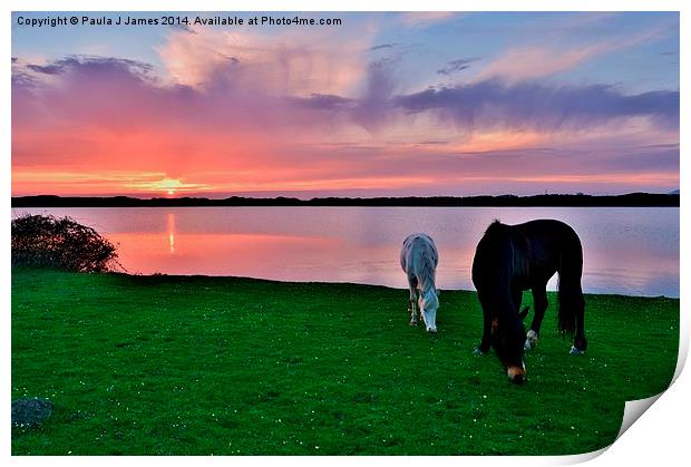 Horses at Sunset Print by Paula J James