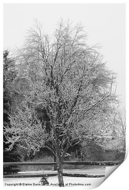 Winter Ice Storm Print by Elaine Darin