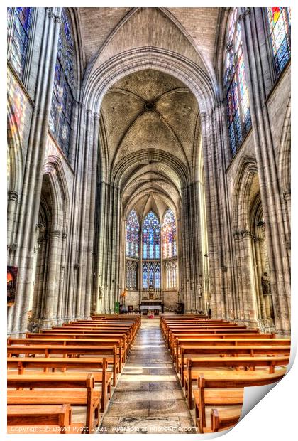 Troyes Cathedral        Print by David Pyatt