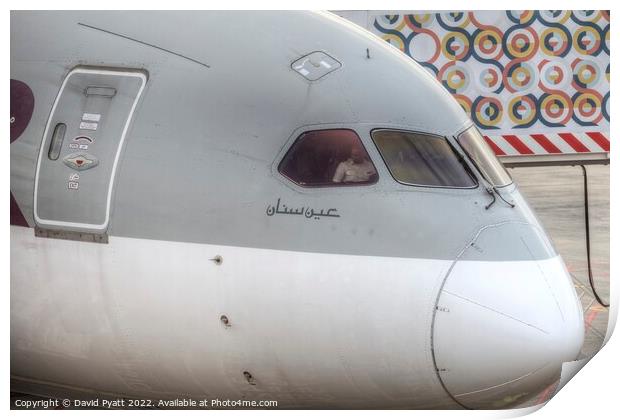 Qatar Airways Boeing 787  Print by David Pyatt