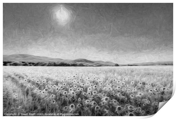 Sunflower Vista Art Print by David Pyatt