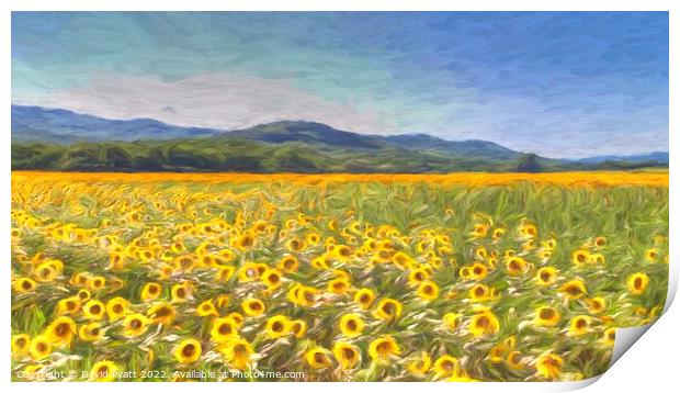 Sunflower Panorama art Print by David Pyatt