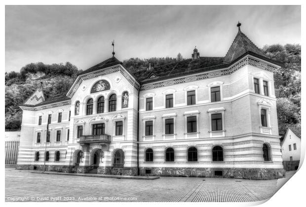  Liechtenstein Government House  Print by David Pyatt