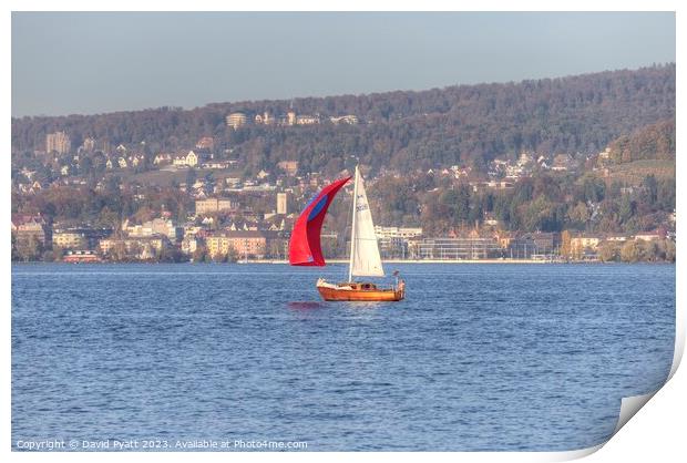 Sailing On Lake Zurich  Print by David Pyatt