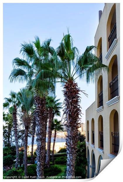 Malta Hotel And Palm Trees  Print by David Pyatt