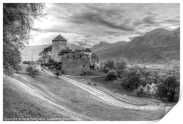 Vaduz Liechtenstein Castle  Print by David Pyatt
