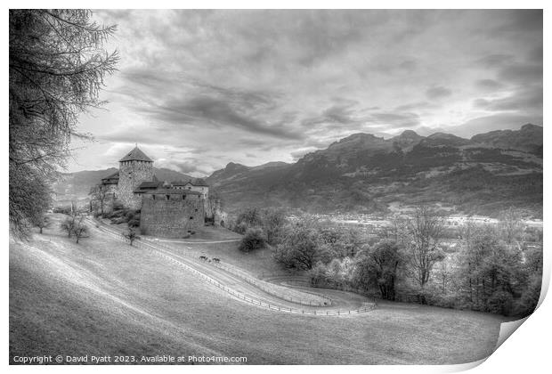 Vaduz Castle Liechtenstein Infrared Print by David Pyatt