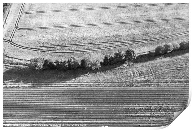 English Farm Aerial View  Print by David Pyatt