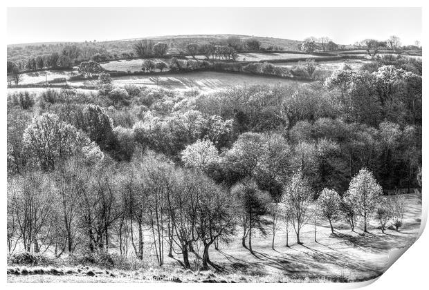 Dartmoor Hills Morning  Print by David Pyatt