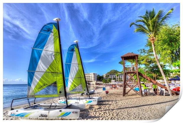 St Lucia Beach Holiday Print by David Pyatt