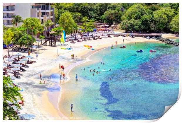 St Lucia Summer Beach Days Print by David Pyatt