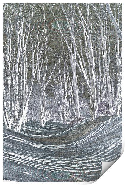 artistic tree art Print by David Pyatt