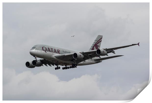 Qatar Airlines Airbus And Seagull Escort Print by David Pyatt