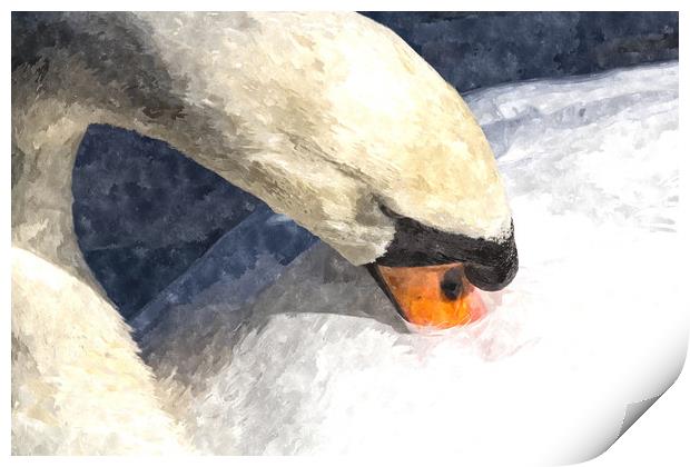 The Proud Swan Art Print by David Pyatt