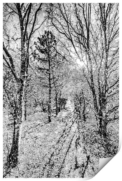 Monochrome Snow Forest Art Print by David Pyatt