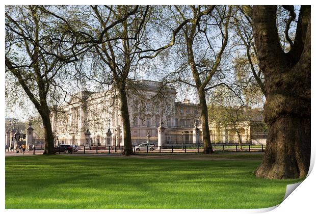 Buckingham Palace Through The Trees Print by David Pyatt