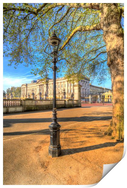 Buckingham Palace Print by David Pyatt