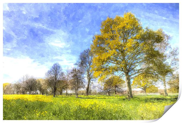 English Summer Farm Art Print by David Pyatt