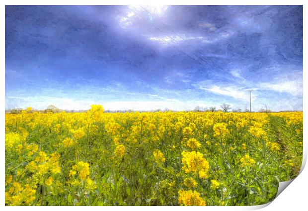 Yellow Fields Of Summer Art Print by David Pyatt