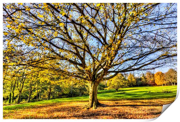 The Autumn Tree Print by David Pyatt
