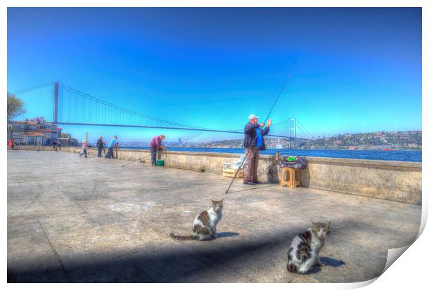 Fishermen And Cats Istanbul Print by David Pyatt