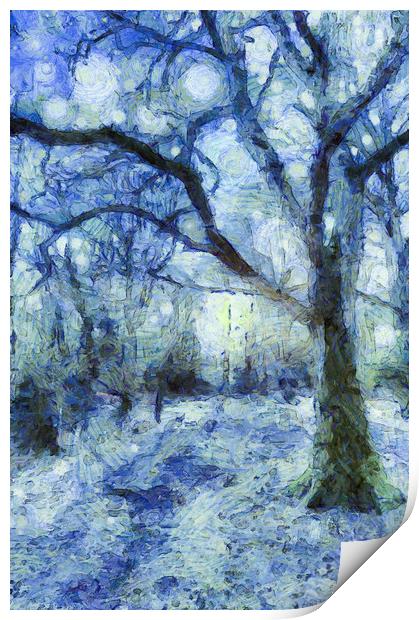 The Blue Forest Art Print by David Pyatt