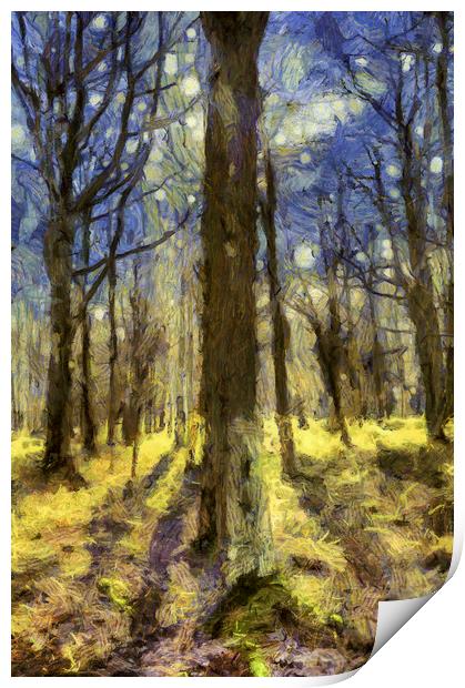 Vincent Van Gogh Forest Art Print by David Pyatt