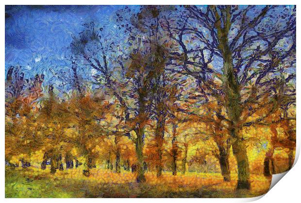 Sunset Trees Art Print by David Pyatt