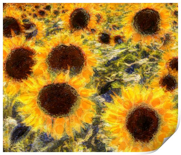 Sunflowers Summer Van Gogh Print by David Pyatt