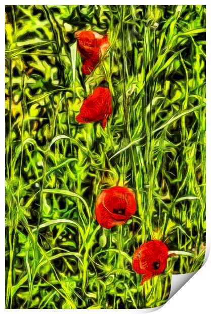 Van Gogh Poppys Print by David Pyatt