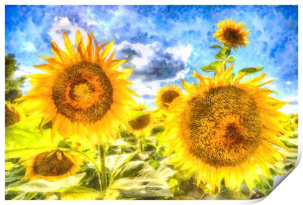 Summer Sunflowers Art Print by David Pyatt