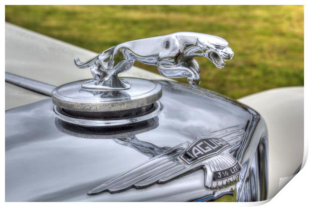Jaguar Car Classic Car Print by David Pyatt
