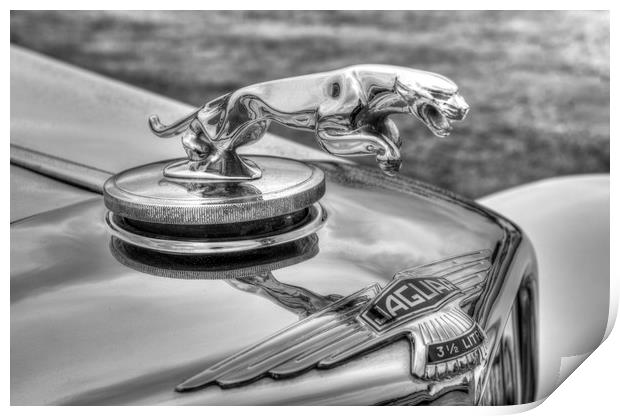 Jaguar Classic Car Print by David Pyatt