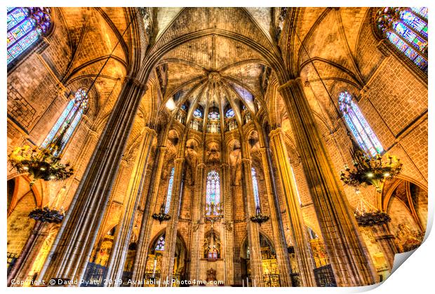 Barcelona Cathedral Print by David Pyatt