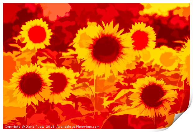 Sunflowers Field Of Fire Print by David Pyatt