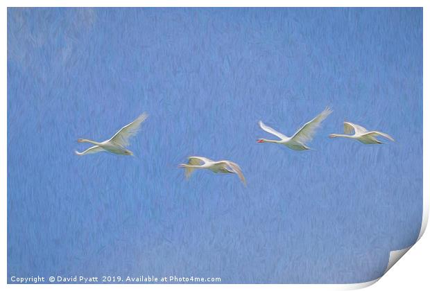 Flying Swans Art Print by David Pyatt