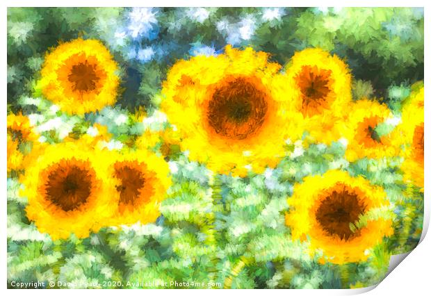 Sunflower Dreams Art Print by David Pyatt