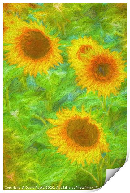 Sunflower Art        Print by David Pyatt