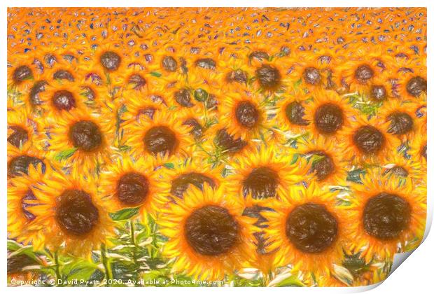 Sunflower Field Of Dreams  Print by David Pyatt