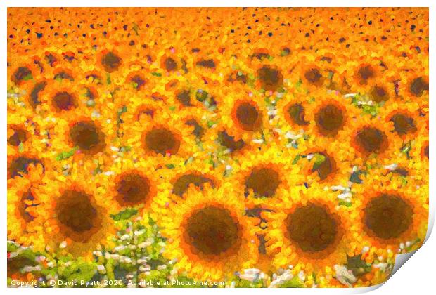 Sunflower Abstract Dreams  Print by David Pyatt