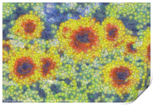 Starry Night Sunflowers Print by David Pyatt