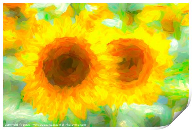 Sunflower Dreams Art  Print by David Pyatt