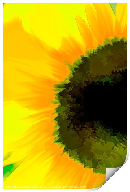 Sunflower Abstraction Art Print by David Pyatt