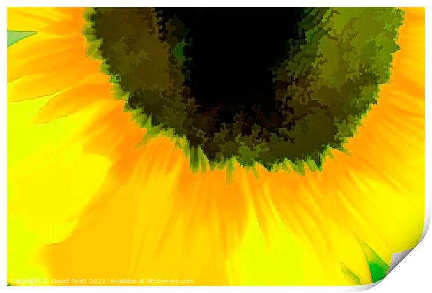 Sunflower Abstract Art Print by David Pyatt