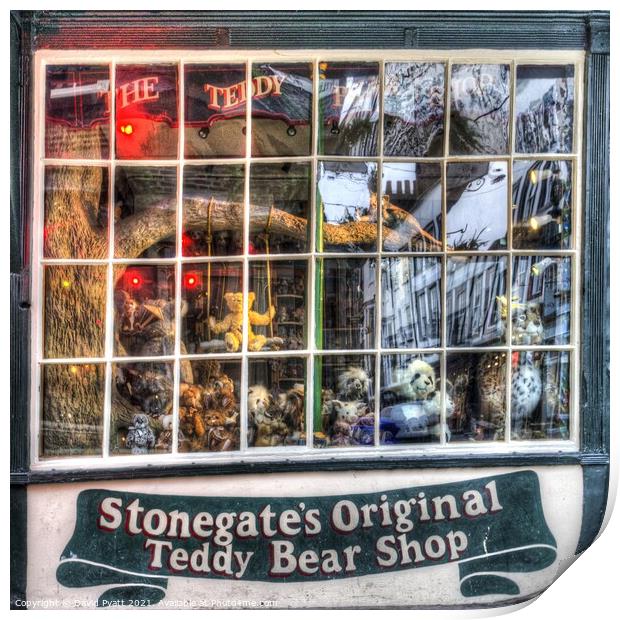 Teddy Bear Shop York  Print by David Pyatt