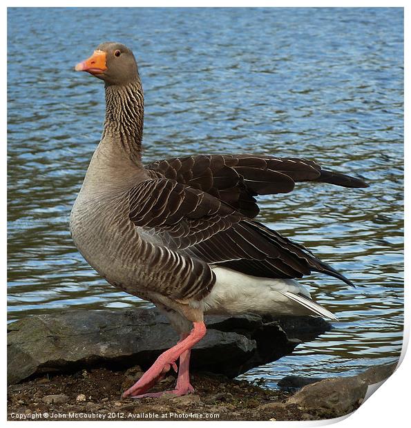 Goose Stepping Print by John McCoubrey